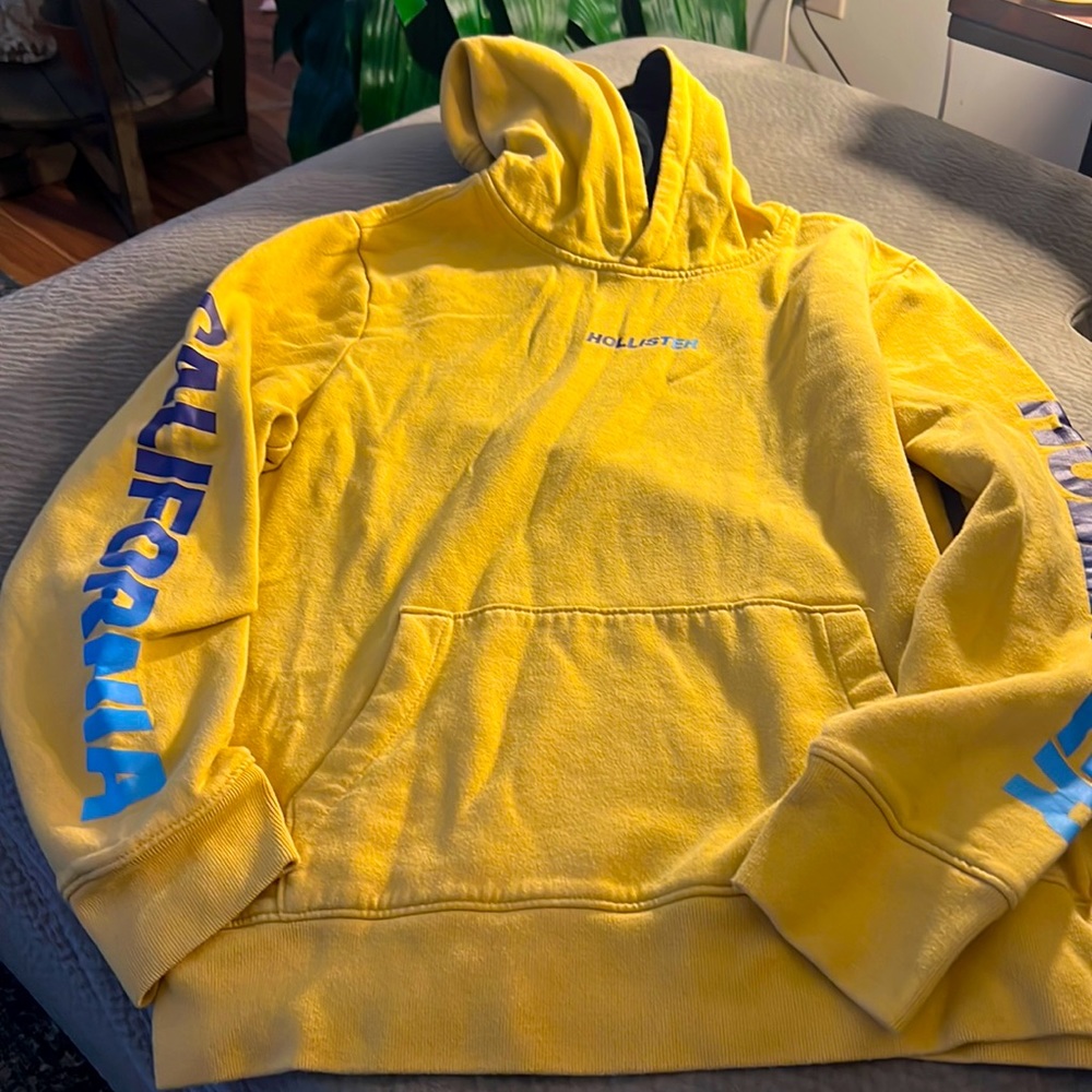 Mens Hollister Hoodie Large
